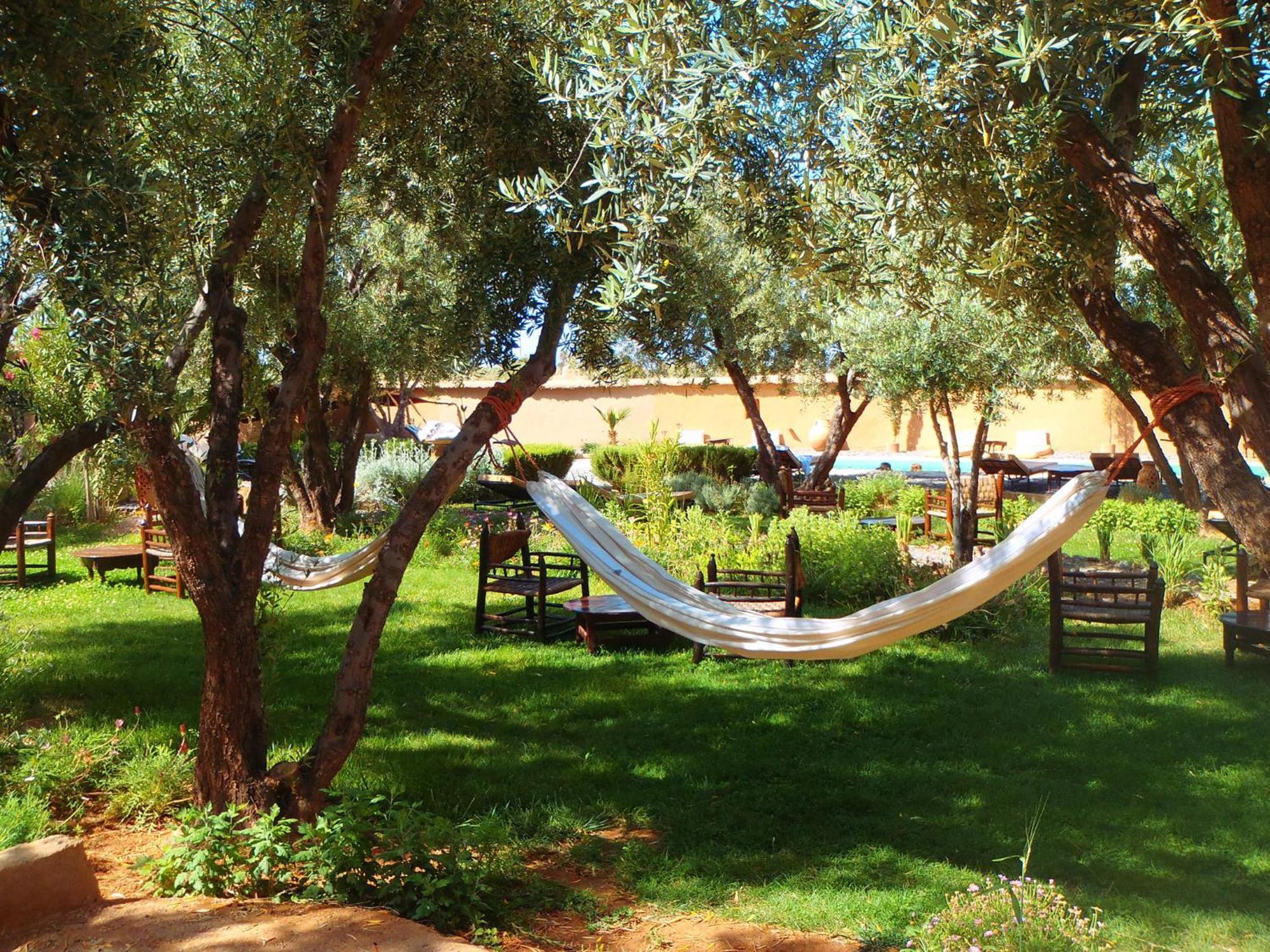 Les Jardins De Skoura Acomodação com café da manhã Exterior foto